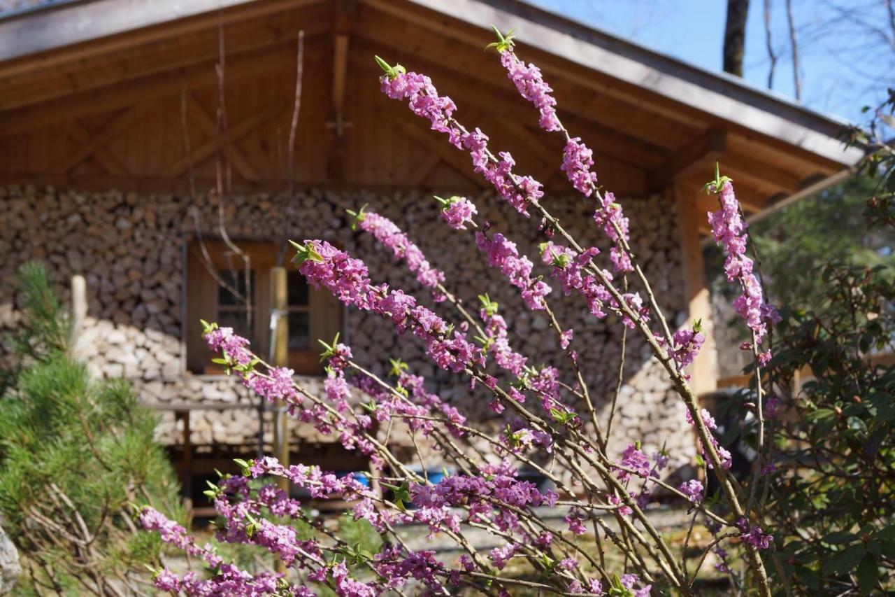Hotel Ferienhaus Waldwinkl à Grainau Extérieur photo